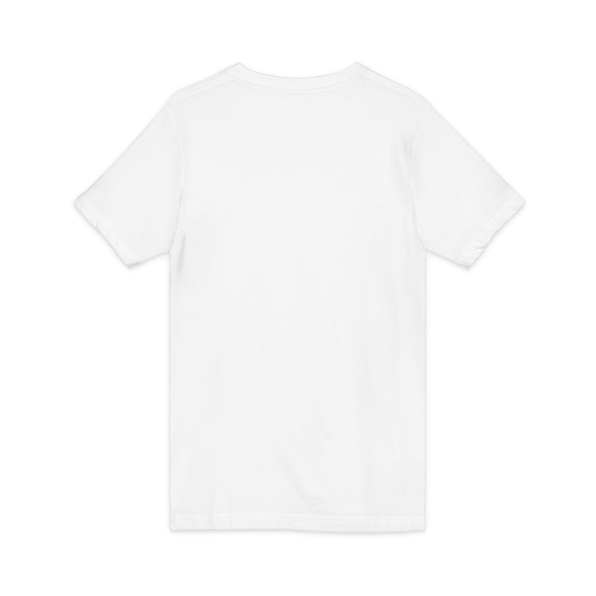 Plug Life Protect Your Energy V-Neck — Premium Collection Ladies V-Neck Tee