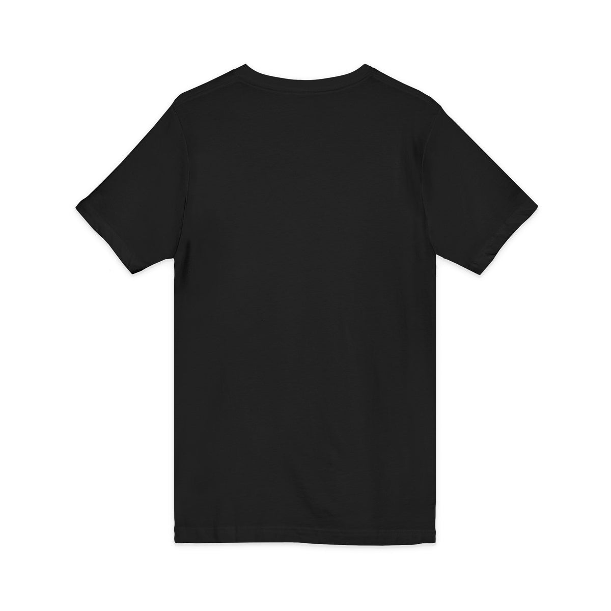 Plug Life Legacy Ladies V-Neck Tee — Premium Collection